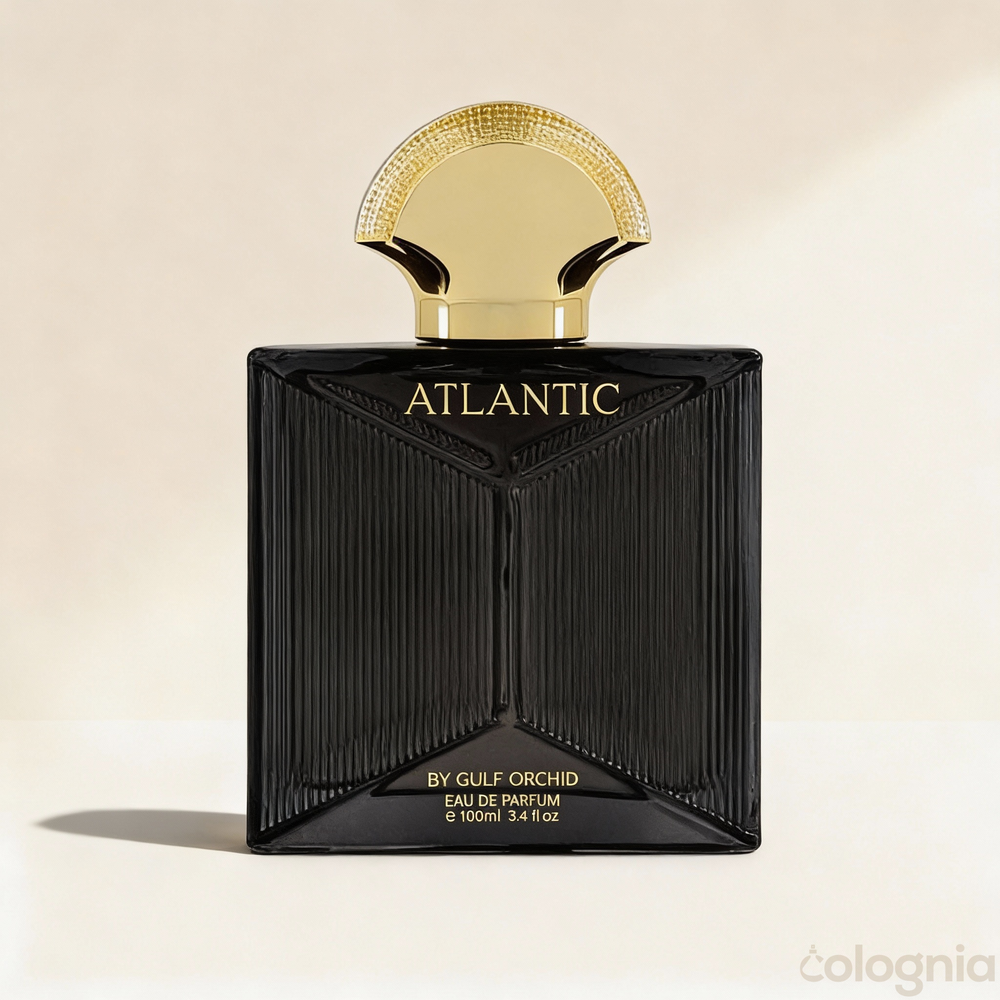 Atlantic by Gulf Orchid