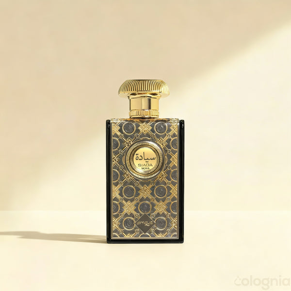 Siada Nova by Zimaya