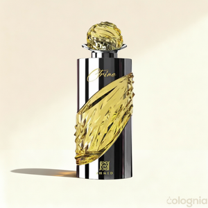 Ctrine by Ahmed al Maghribi