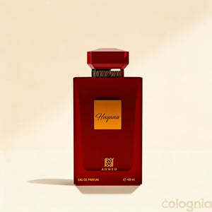 Hayana by Ahmed al Maghribi
