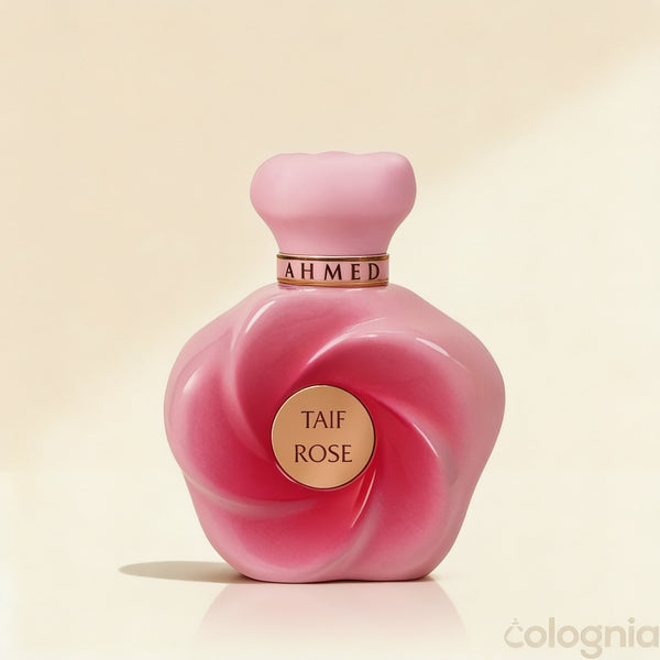 Taif Rose by Ahmed al Maghribi